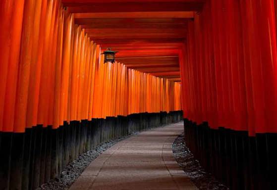 Takashi Station & Kuroshio Market & Rinku Outlet One-Day Tour