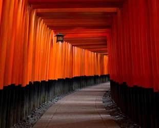 Touring Tokyo